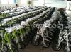 Folding outdoor bicycle /14 inch mini folding bike