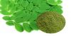 Moringa leaf powder