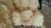 Sisal Fiber UG GRADE A