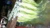 Sisal Fiber UG GRADE A