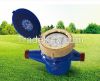 Photoelectric direct reading remote water meter