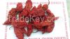 Bhut Jolokia pepper 