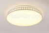 cheap price Modern Style fancy emergency ceiling light BZN-CL0019