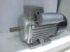 YC/YCL Series Electric Motor With Cast Iron Body