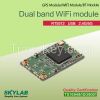 Dual band wifi module ...