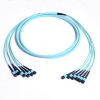 Multi-fiberTrunking Ca...