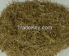 SUGARCANE BAGASSE