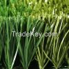 Artificial grass