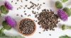 Milk thistle seeds (Silybum marianum): $1, 5-2/kg