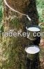 RSS3 Rubber with compe...