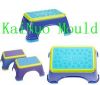 Commodity Mould