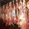 Frozen Beef Carcass Fr...