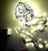 Christmas light, LED l...