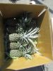 FRESH PINEAPPLE