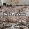 Wet Salted Donkey Hides