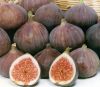 Fresh Figs