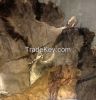 100% Wet Salted Donkey Hides &amp; Cow Hides