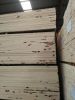 Film Faced Plywood / LVL/LVB