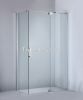 Frameless shower room with custom hinge