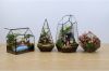 Micro landscape glass ...