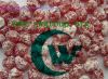 Dried Cherry (Stone / ...