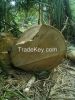 TEAK ROUGH SQUARE TEAK BILLETS/LOGS Gmelina billets/ logs