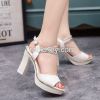Women fashion shoes,graceful,high quality