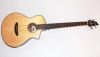 Breedlove Pursuit Acoustic Electric Bass Guitar