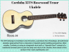 Cordoba 35TS Rosewood ...