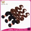 Ombre Brazilian Hair Extension Natural Color 100% Brazilian Virgin Human Hair Body wave hair weft