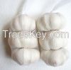 high quality fresh garlic price Pure White Garlic alho fresh garlic