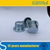 Hexagon Socket Screw Plug