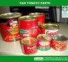 Canned Tomato paste/Tomato ketchup/ Tomato Sauce