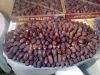 Fresh and Dried Dattes...