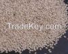 Sesame Seeds