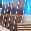 12mm eucalyptus core film faced plywood