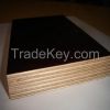 repaired plywood for container flooring/plywood for repairing container