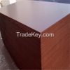12mm eucalyptus core film faced plywood