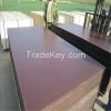 12mm eucalyptus core film faced plywood