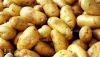 Fresh Potatoes