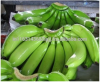 Green  Bananas