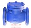 DIN Cast Iron Swing Check Valve