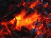 Barbecue Charcoal (Lum...