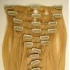 Remy Human Hair Clip i...