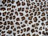 Animal Printed on Genuine Cowhide Leather Furs.