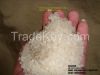 Vietnam Round Japonica white rice