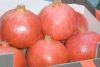 Pomegranates [ Asyouti...