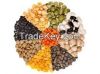 Lentils