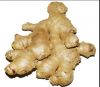 Split Dry Ginger from Nigeria for Export