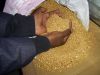 Gold Bar 1 Ounce / Gol...